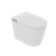 Ethan Smart Toilet with Foot Sensing, Remote Control