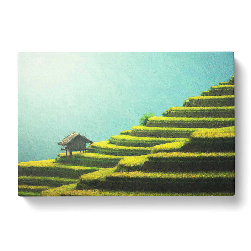 Rice Plantation In Cambodia - Wrapped Canvas, 50cm H x 76cm W x 3cm D