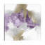 Heavenly by Debi Coules - Painting on Canvas-50029177-56731314