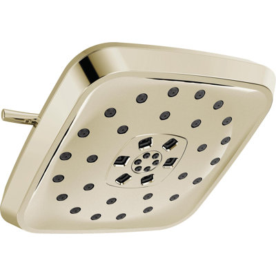 Rain Adjustable Shower Head with H2Okinetic Technology