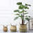 Chertsey Pot Planter-1013275067