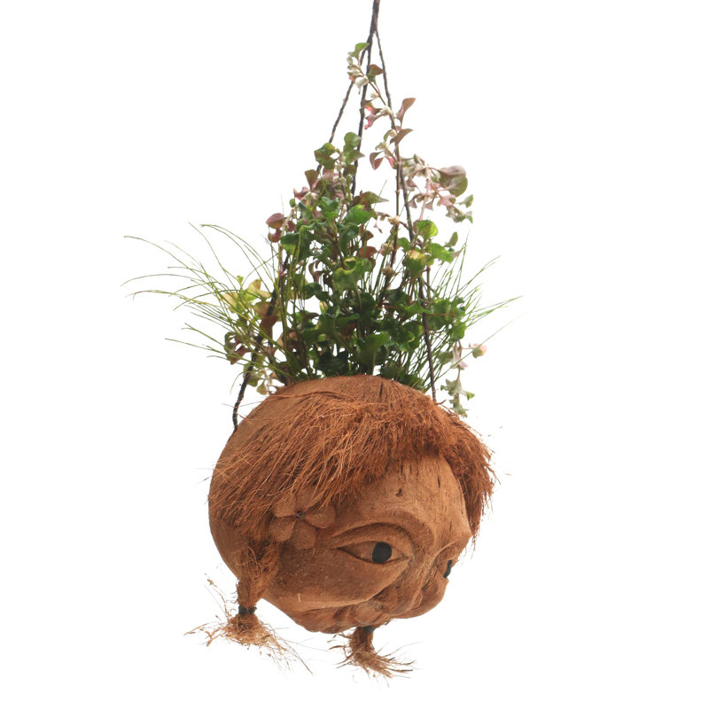 Pot à fleurs suspendu Elanur