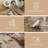 Golden Mist Abstract Distressed Machine Washable Area Rug-743976939