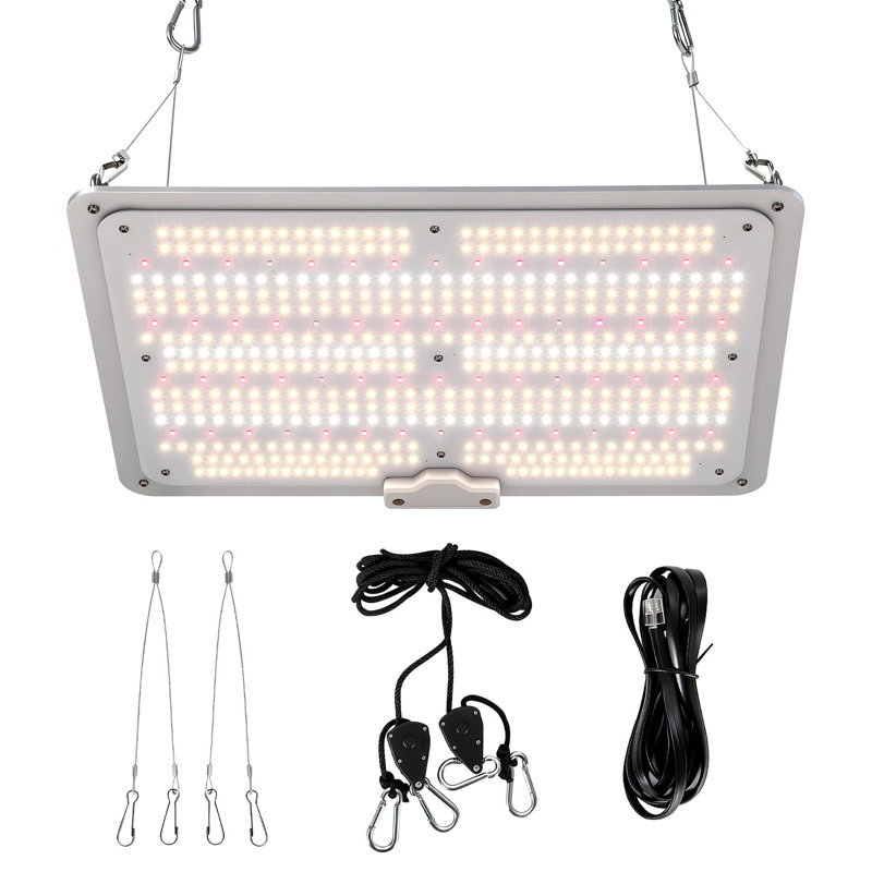 Lumière à DEL 150W à spectre complet avec lumière rouge et infrarouge, lumière quantique à intensité variable pour plantes d'intérieur