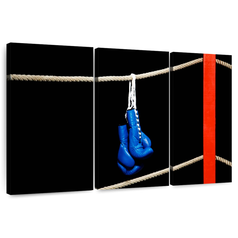 Gants de boxe, H 20 po x l 33 po