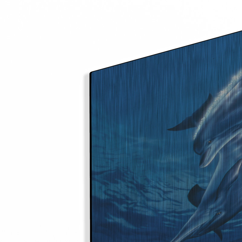 «Dolphin Swing» par Joh Naito sur métal, H 36 po x l 24 po