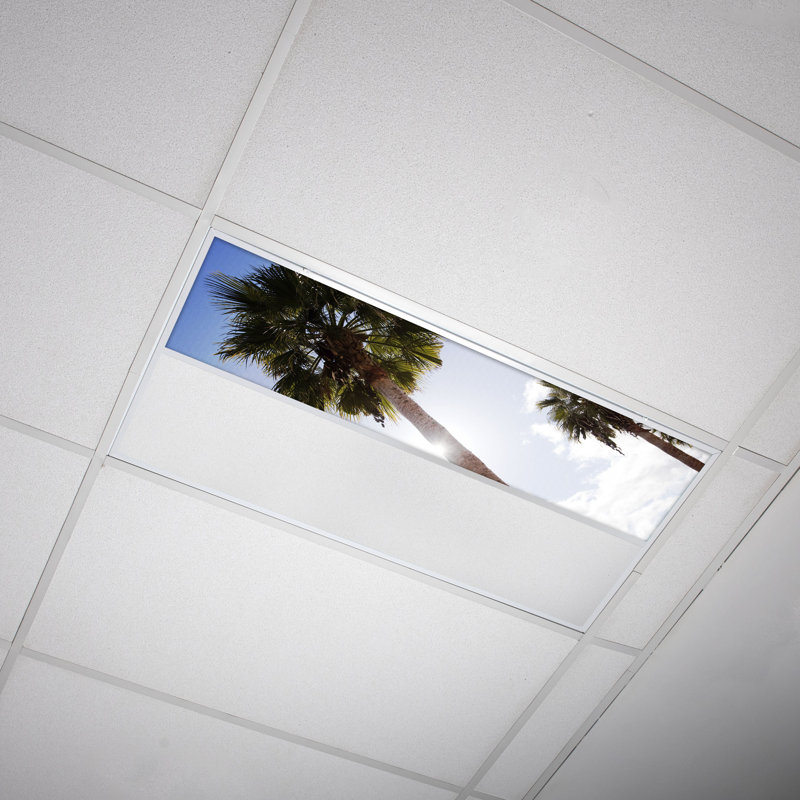 Tree Rectangle Fixture Component Ceiling Light