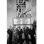 La meute de rat - photographie-76079770-70850033-61618378