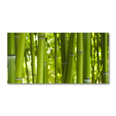 Bamboo - Wrapped Canvas Print