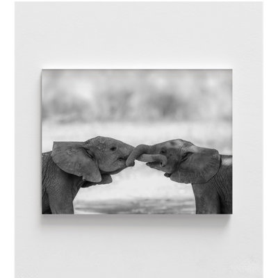 «Baby Elephant Friends», reproduction de photo, idée de décor de garderie pour bébé, éléphanteau