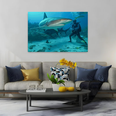 Underwater Shark Encounter Contemporary Fish Shark Ocean Tropical Wall Art Print
