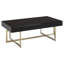 Miriam Frame Coffee Table