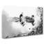 Mallard Ducks In Abstract - Wrapped Canvas-55307594