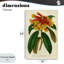 Toile rhododendron orange et jaune, design par Print Collection-1111321279