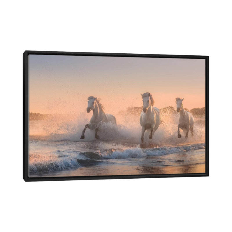 White Angels Of Camargue VI by Daniel Kordan - Print on Canvas, 66.04 cm H x 45.72 cm W, Black Framed