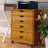 Pitts 6 Drawer Storage Drawer