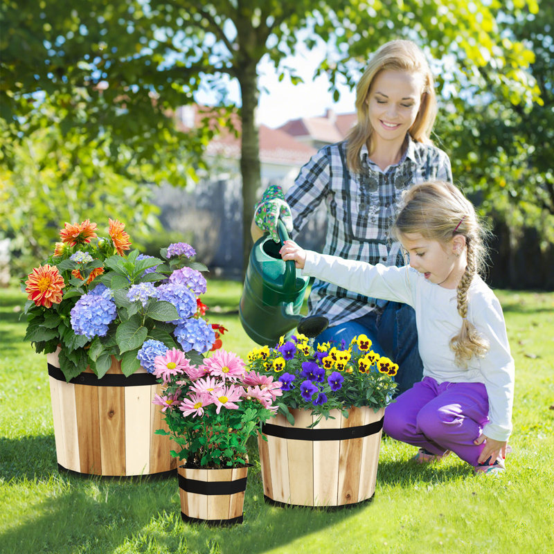 Ensemble de 3 pots à fleurs en bois pour l'extérieur avec cadre en bois d'acacia