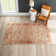 Gorsuch Oriental Indoor Rug