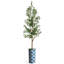 68 plantes-95099219-138916969