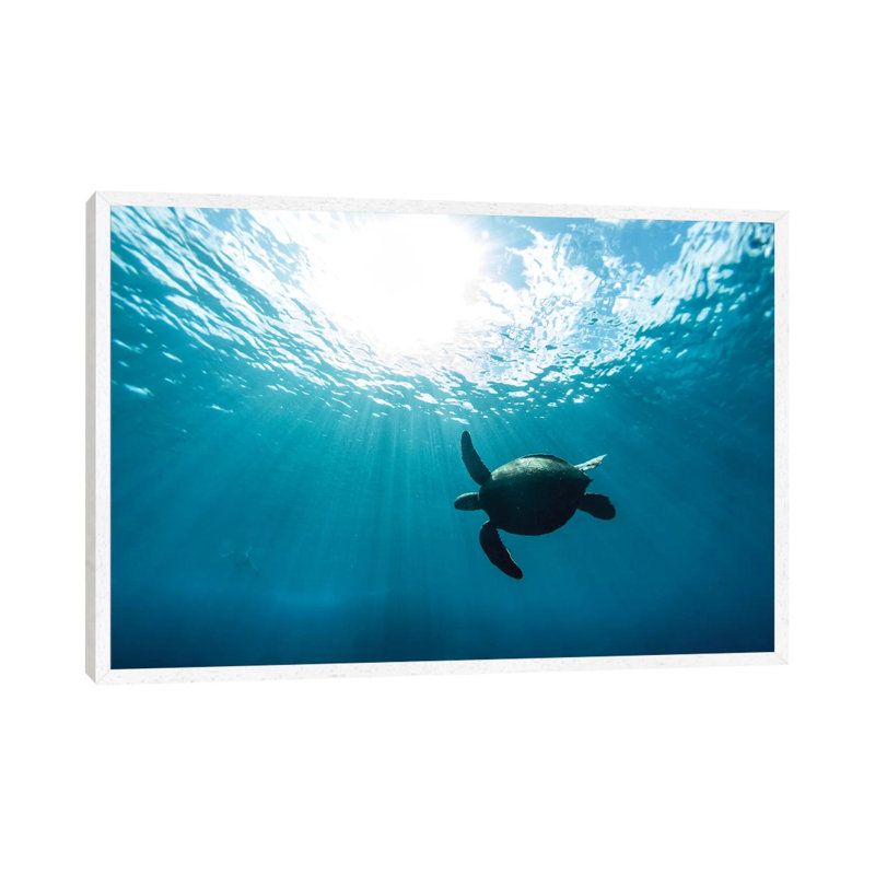 Sun Burst by Sean Davey - Print on Canvas, 66.04cm H x 101.6cm W x 3.81cm D, White Floater Framed