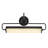 Ellen 21-In Wall/Picture Light-1792236554