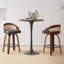 Ensemble de 2 tabourets pivotants-1630311539