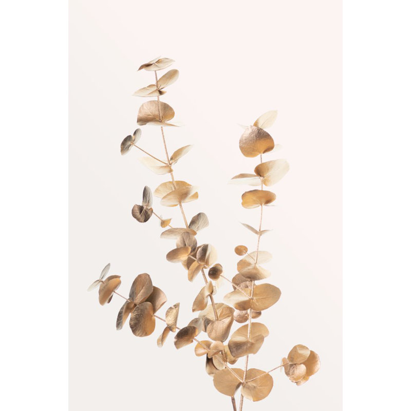 Wrapped Canvas Print, 91.44 cm H x 60.96 cm W