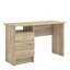 Gouge Computer Desk-38263704