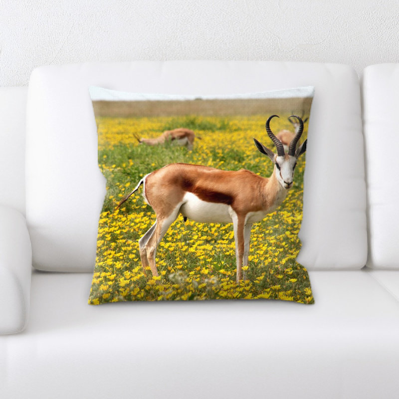 Coussin antilope