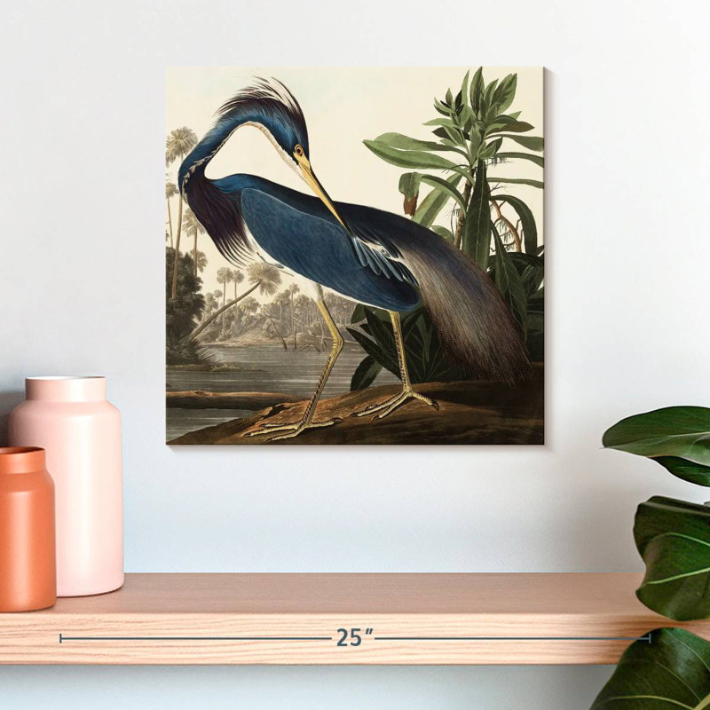 Brampt Louisiana Heron, 16" H x 16" W