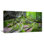 " Deep Moss Forest In Ukraine Landscape "