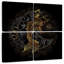 Poissons koi Brampt Lucky Gold