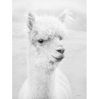 " Alpie The Alpaca "