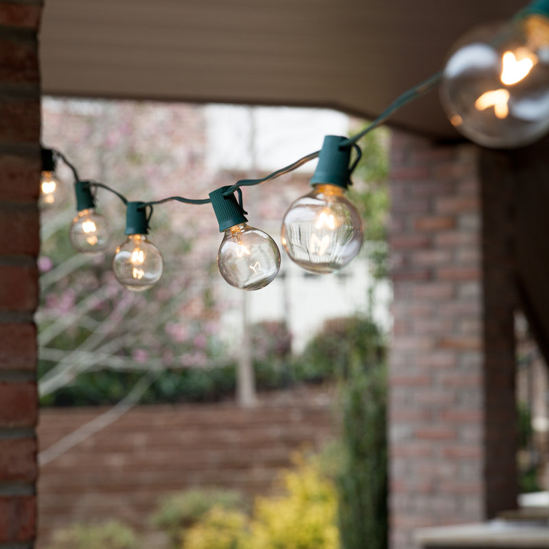 Outdoor 25 - Bulb 300'' Plug-in Globe String Light