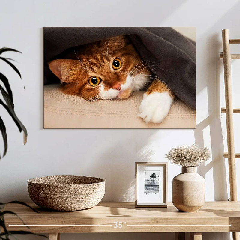 Crowle Cozy Cat, H 16 po x l 24 po