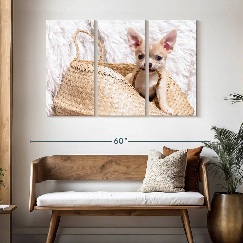Brampt Rowdy Chihuahua, 32" H x 50" W