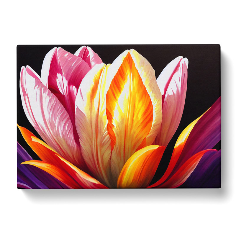 Euphoric Tulip Flowers - Wrapped Canvas, 50cm H x 76cm W x 3cm D