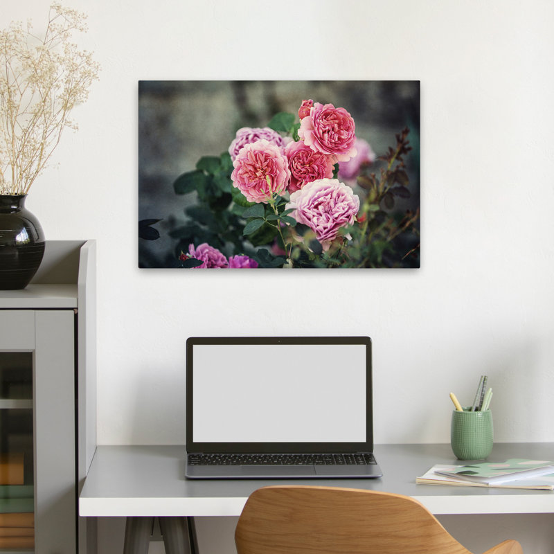 Plantes, fleurs, roses d'Ecosse I, art mural, H 16 po x l 24 po