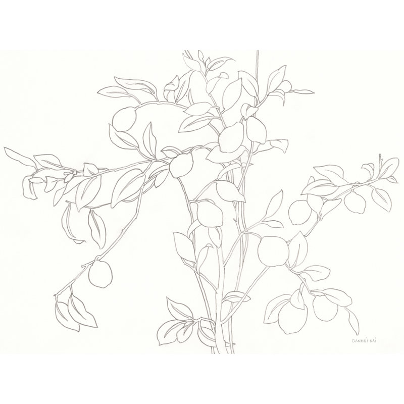 Jabrea Branching Out par Danhui Nai, H 12 po x l 16 po