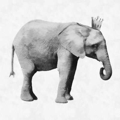 «Grayscale Elephant King», impression sur toile tendue