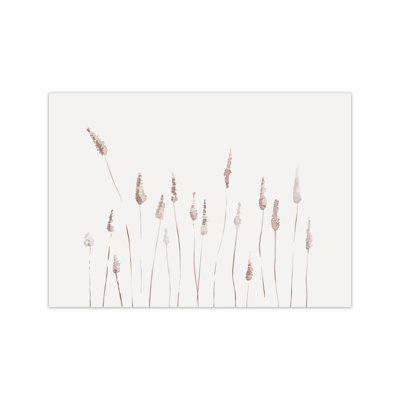 Botanicals II - Print