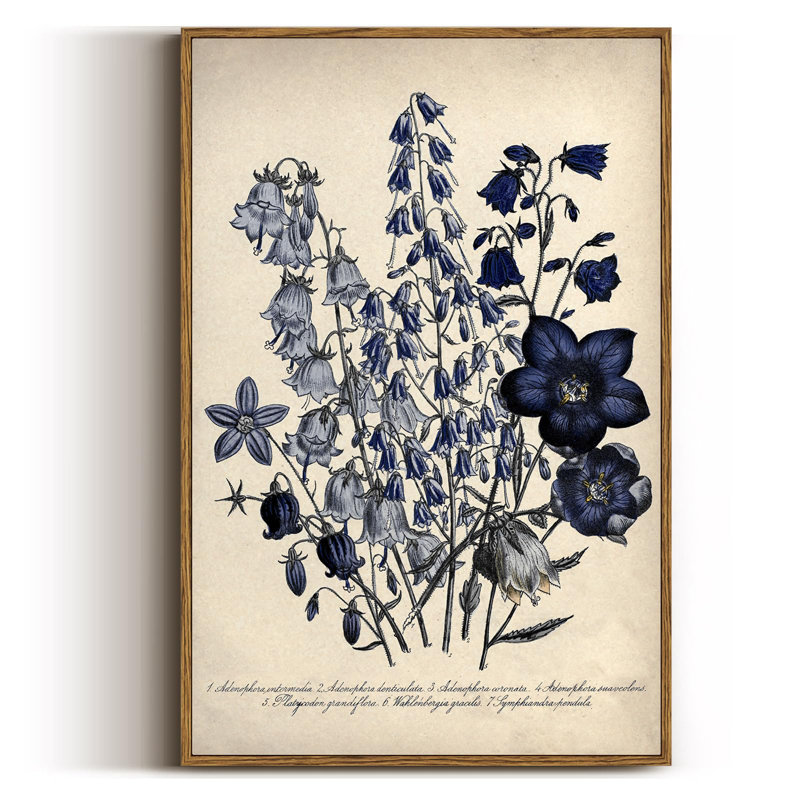 Blue Campanula Botanical Framed Wall Art