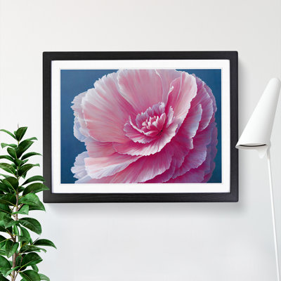 Overwhelming Carnation Flower - Single Picture Frame Print