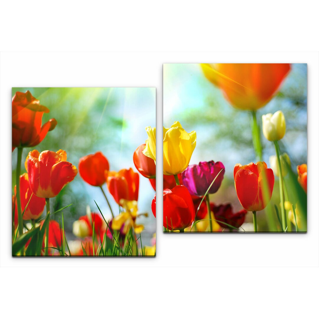 2-tlg. Leinwandbilder-Set Bunte Tulpen