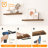 Kayleah 2 Piece Floating Shelf-254558824-206962547
