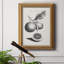 " Antique Lemons & Oranges II "-1218147568