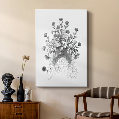 B&W Plant Speciment VII - galerie sur mesure