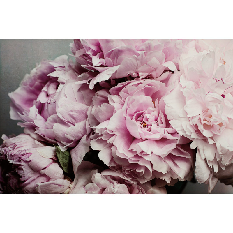 Peonies Galore II by Elizabeth Urquhart - Photograph Print, 61cm H x 91cm W, Black Floater Framed