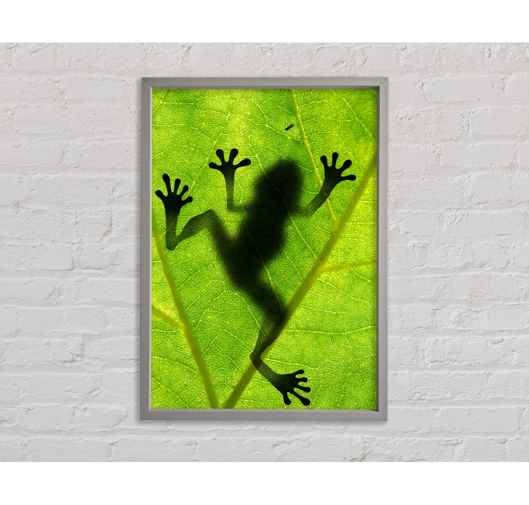 Froschschatten - Einzelner Bilderrahmen Kunstdrucke auf Leinwand