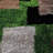 Hand Tufted Shag Polyester Eco-Friendly Area Rugs - Rectangle, Green Beige Color, Geometric Modern Design, High Pile Thick Handmade Anti Skid Area Rugs for Living Room, Bed Room -1600929713